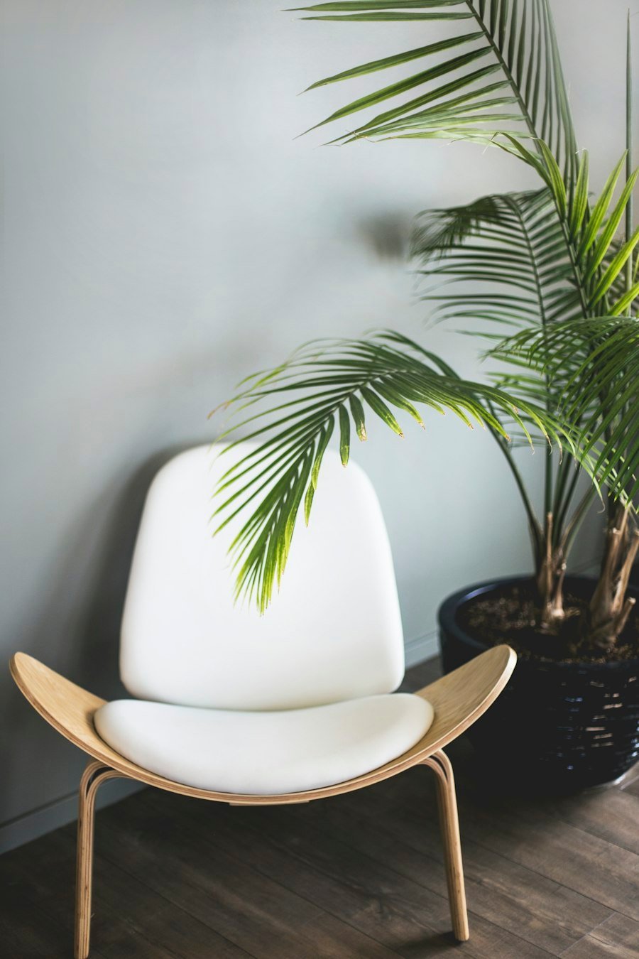 Shell Lounge Chair
